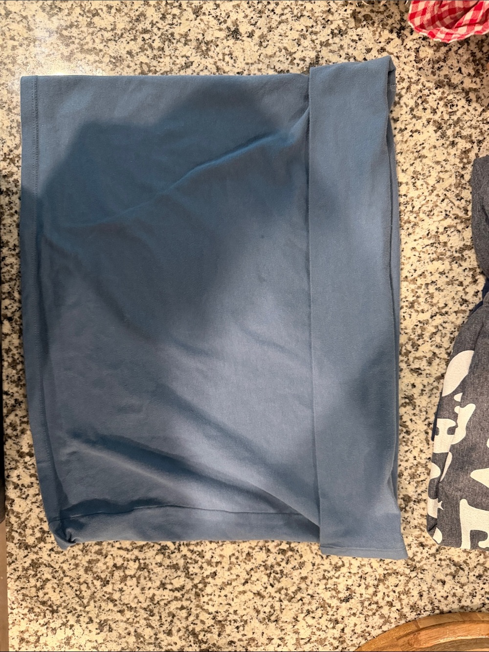 American Eagle Outfitters Blue Stretch Cotton Tube Crop Top